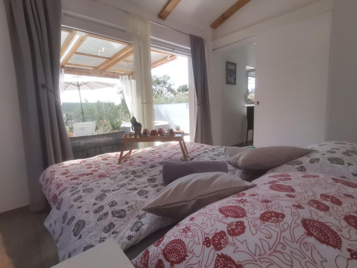 Villa Molo Novigrad  Zewnętrze zdjęcie