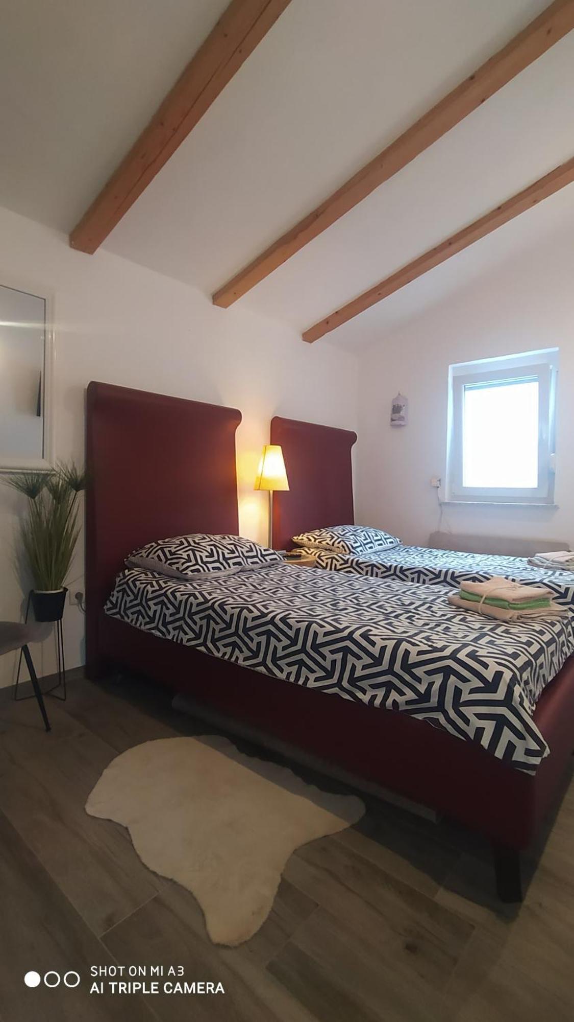 Villa Molo Novigrad  Zewnętrze zdjęcie